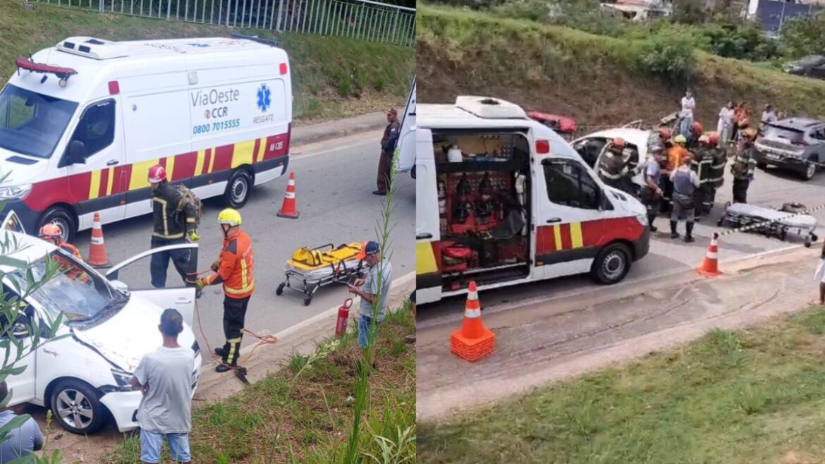 Divulgação