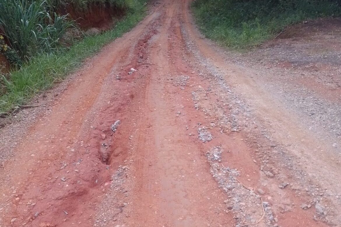 São Roque Notícias