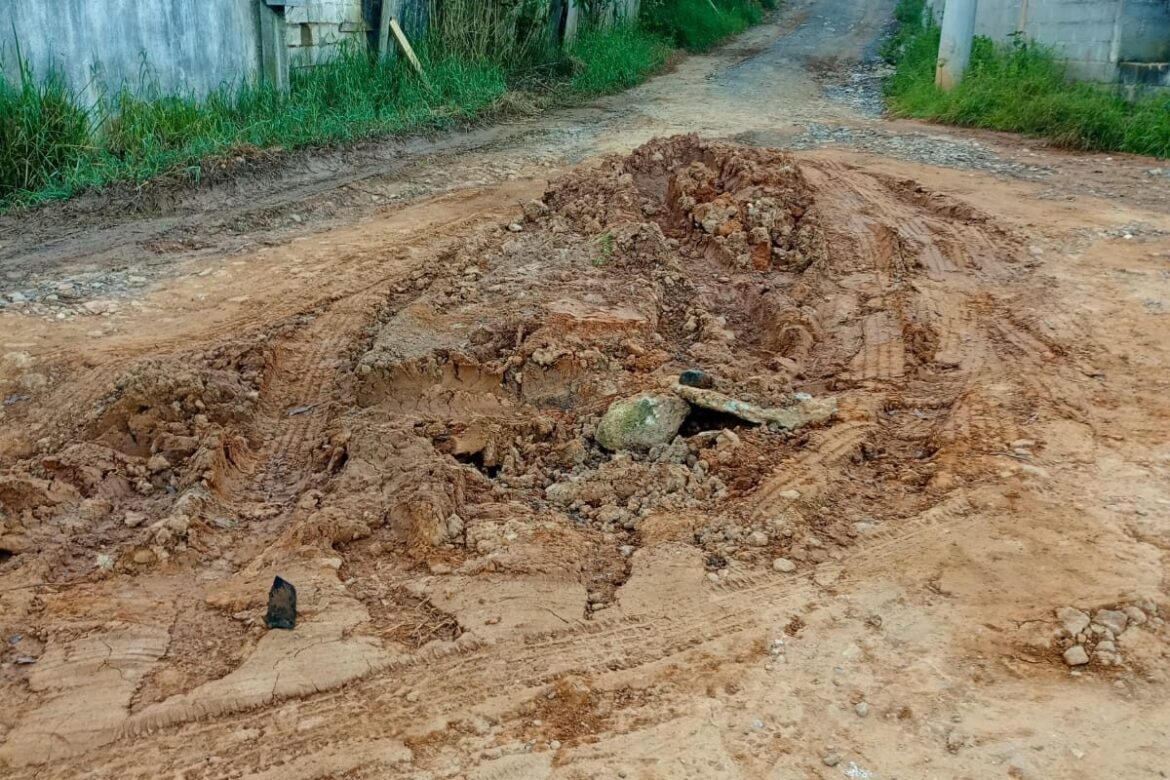 São Roque Notícias
