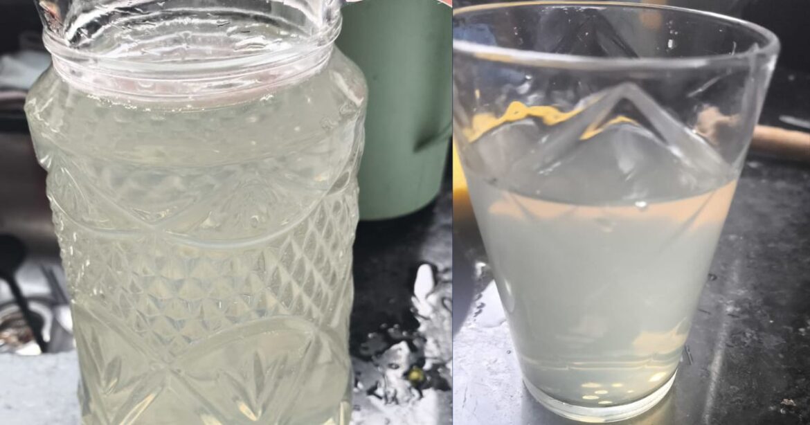 OPORTUNIDADES DE EMPREGO