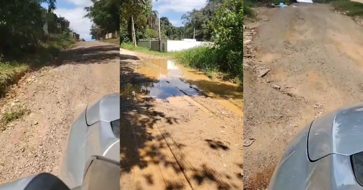 São Roque Notícias