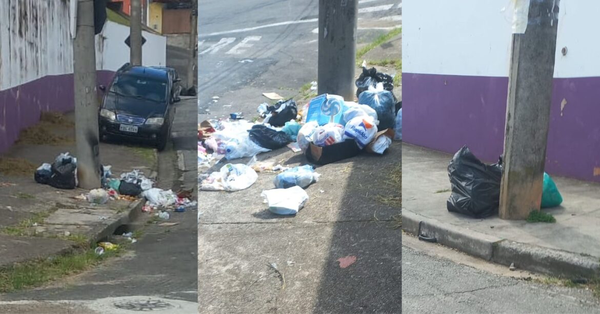 São Roque Notícias