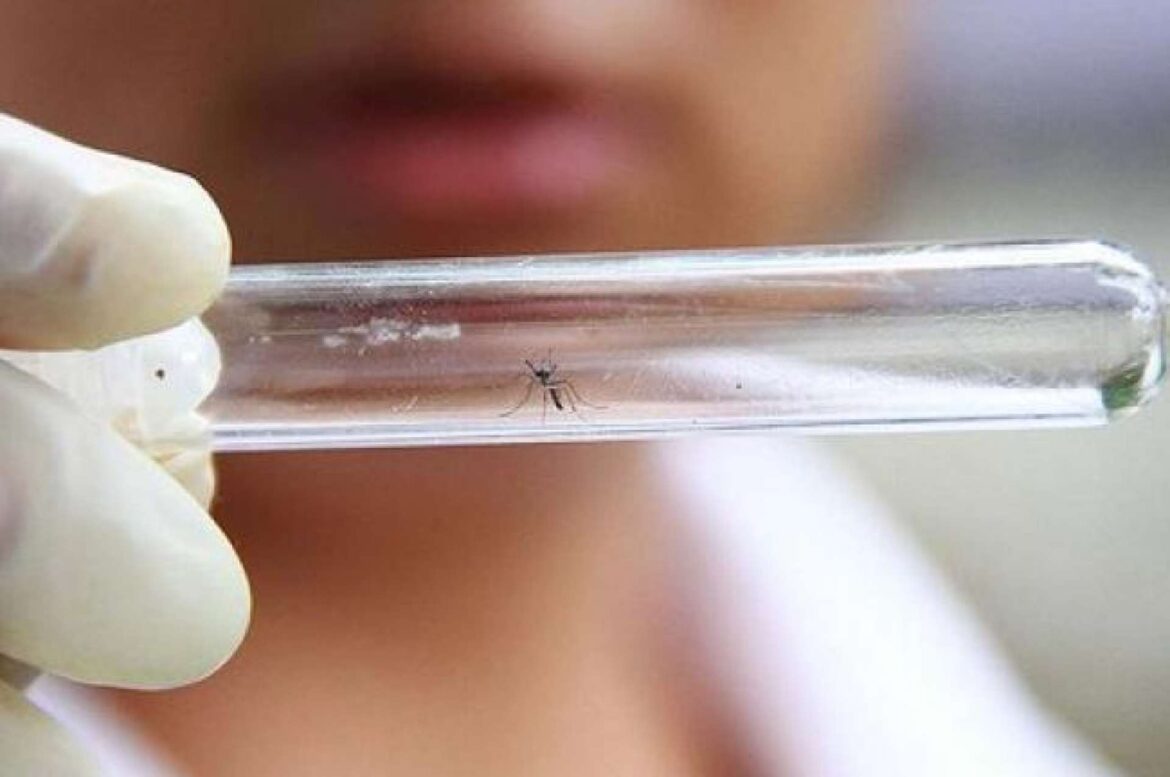 zika_virus