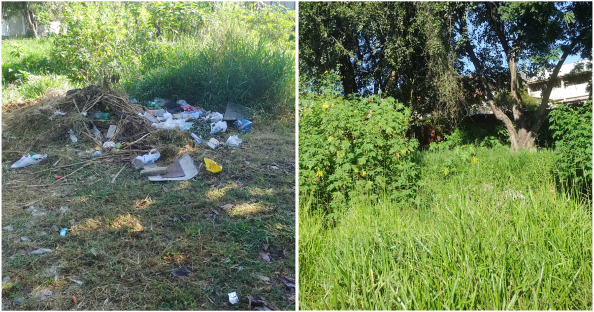 6C4AB495-BD0F-4349-BB6E-041033D078CD