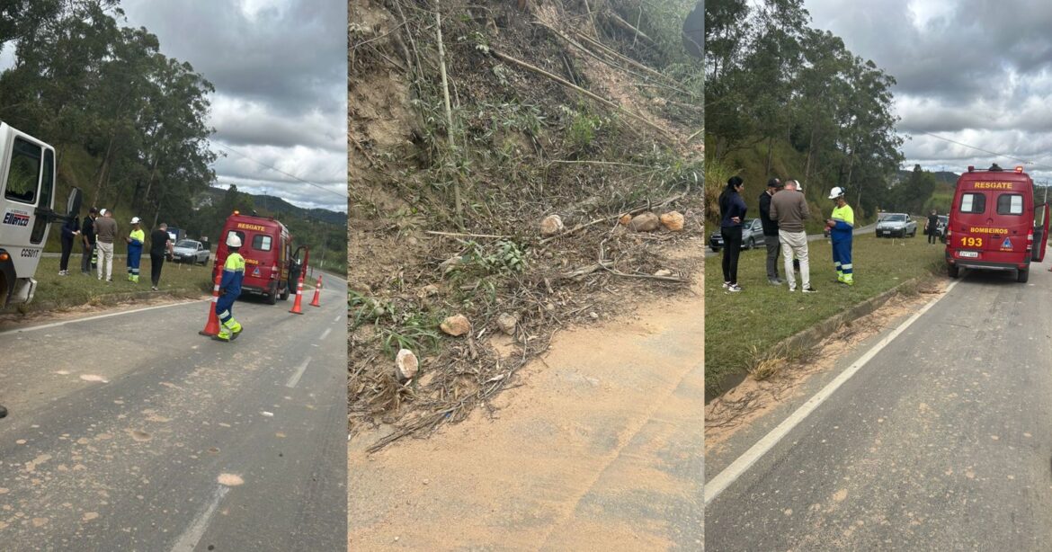 São Roque Notícias