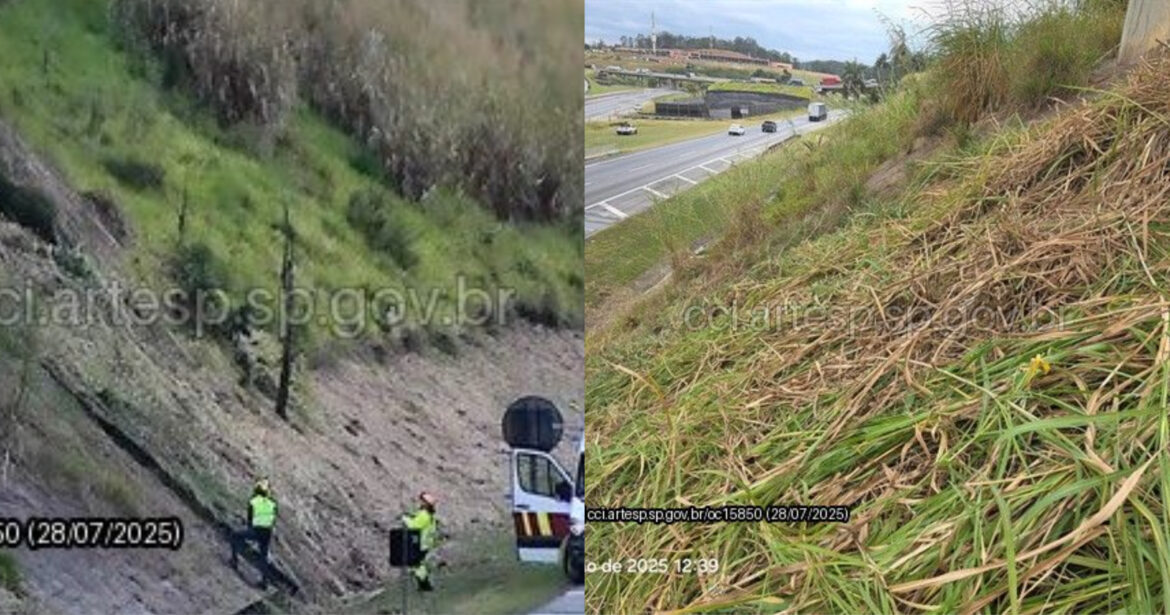 CA7D2579-6D76-4643-B4D0-6A7B9725A403