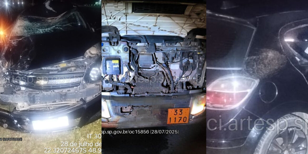 D0C86471-459D-4C39-8F4A-943A509EDD79