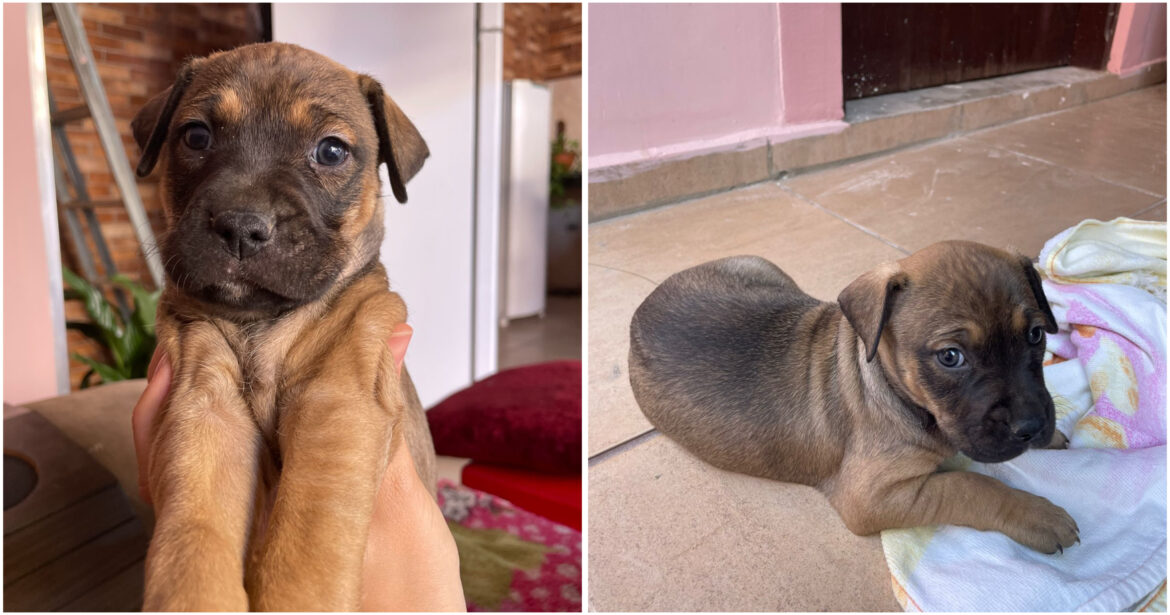 26A8013F-4408-4F77-ADC6-2B8944AA7904