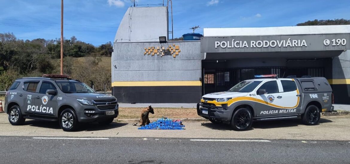 974b2857-6e66-45e9-ae1b-f5ade02f6c9f